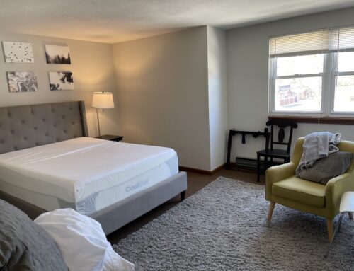 Cheap Movers vs. Established Professional Movers